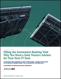 Filling the Investment Banking Void: Why You Need a Joint Venture Advisor for Your Next JV Deal
